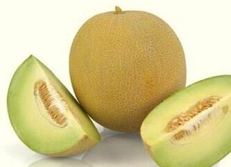 Melone EXELOR F1 100 gab SAKATA